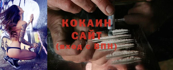 кокс Вяземский