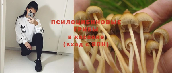 таблы Горняк