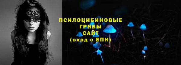 меф Горно-Алтайск