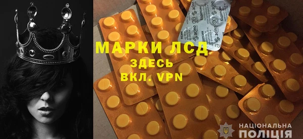 соль ск Горнозаводск