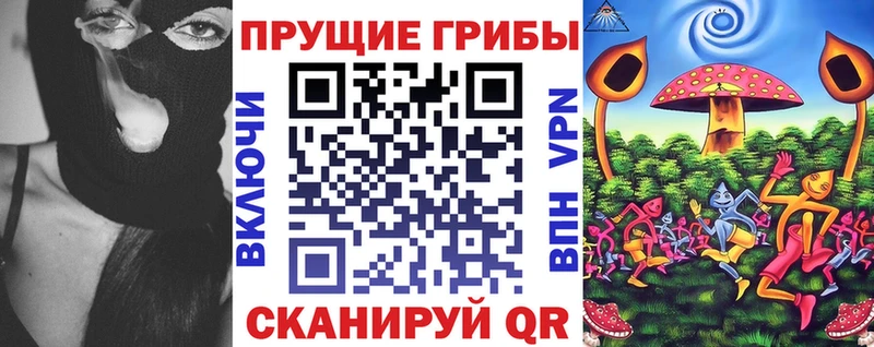 Псилоцибиновые грибы Psilocybine cubensis  Городовиковск 